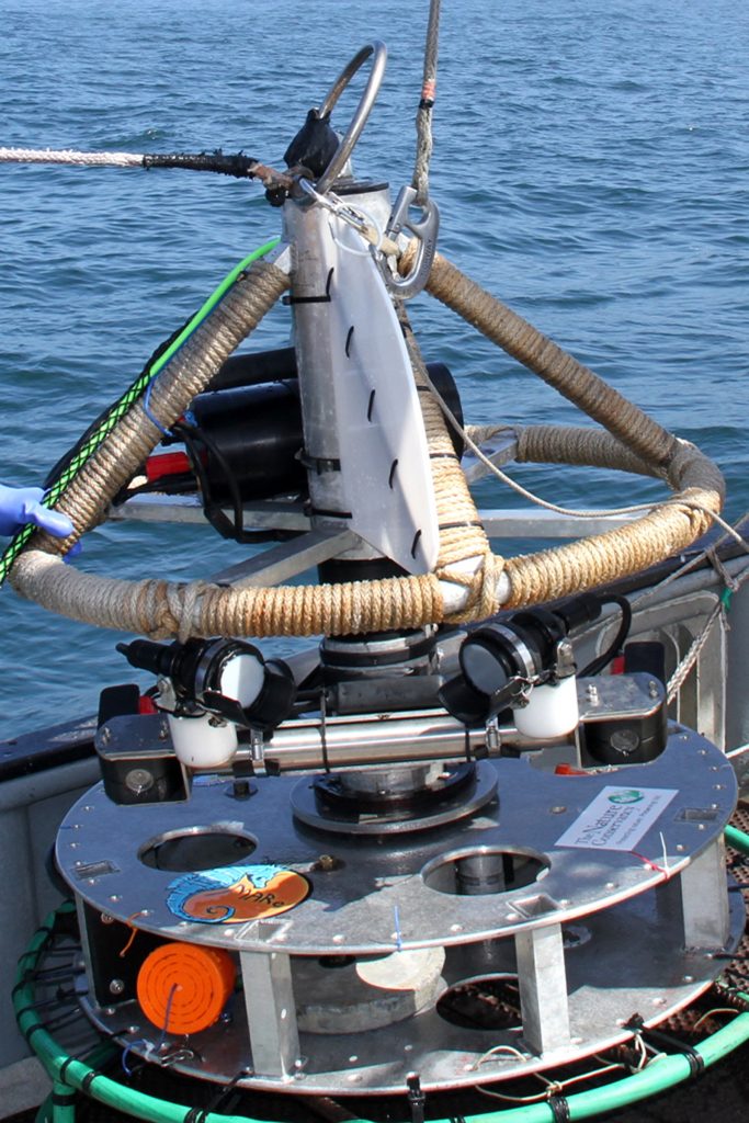 Deep-Water Lander – Fisheries and Conservation Biology Lab