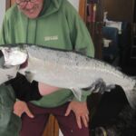 Chinook (King) Salmon (Oncorhynchus tshawytscha)