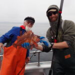 copper rockfish caught on a CCFRP trip