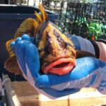 Treefish (Sebastes serriceps)