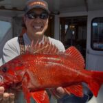 Vermilion Rockfish (Sebastes miniatus) Captain Allen C. with a vermilion rockfish on a CCFRP trip
