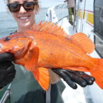 Vermilion Rockfish (Sebastes miniatus) a vermilion rockfish held by Serena L. on a CCFRP trip