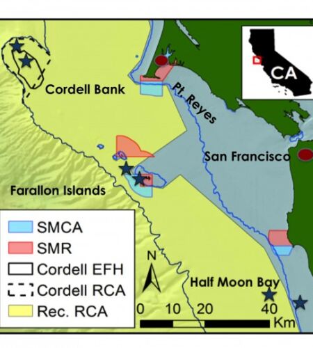 Map of study area with three study locations labeled: Cordell Bank (Cordell), Farallon Islands (Farallons), and Half Moon Bay (HMB). Sample sites are marked with blue stars. The Recreational Rockfish Conservation Area (RCA) is shown in yellow. State Marine Conservation Areas (SMCA) are shown in light blue. State Marine Reserves (SMR) are shown in light red. 50 m and 200 m isobaths are displayed in light and dark blue respectively.