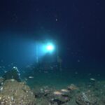 MOUSS platform at Footprint SMR