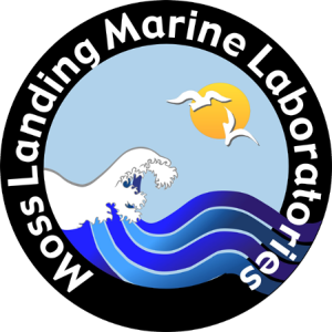 Student Opportunities in the Geology Lab