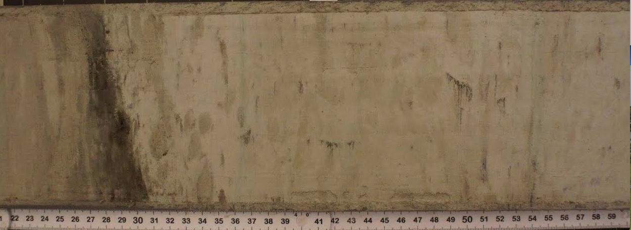 Sediment core image from cruise