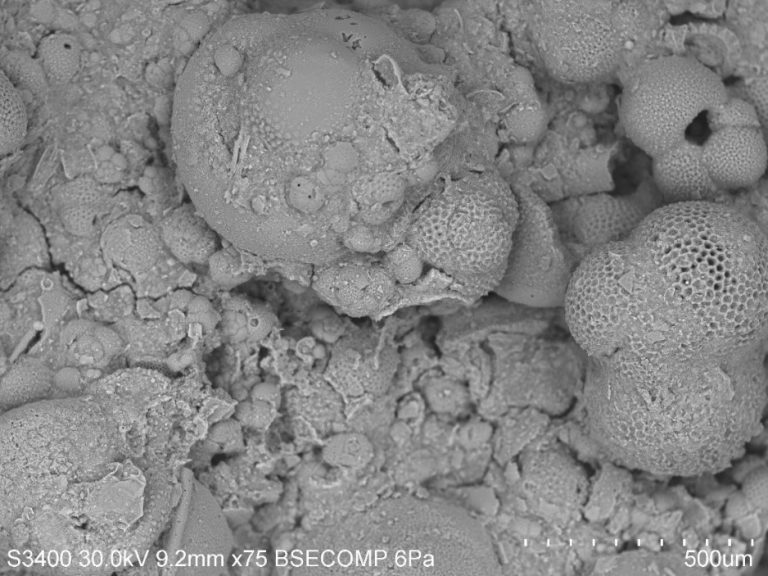 Deep Marine Sediments – Geological Oceanography Lab