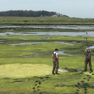 Ivano Aiello and Kim Elson Surveying at the Elkhorn Slough National Reserve Surveying at the Elkhorn Slough with the Habitat Mapping Class