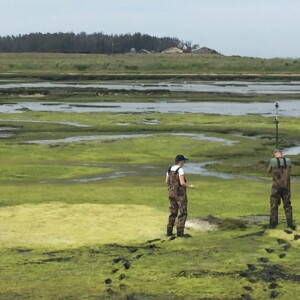 Ivano Aiello and Kim Elson Surveying at the Elkhorn Slough National Reserve Surveying at the Elkhorn Slough with the Habitat Mapping Class