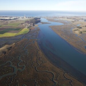 Elkhorn Slough Reserve at Low Tide