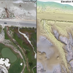 Habitat Restoration