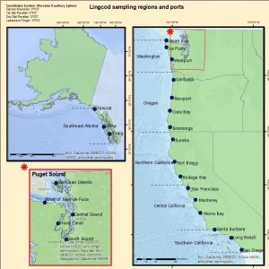 Lingcod Sampling Regions