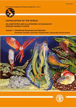 Cephalopods of the world : an annotated and illustrated catalogue