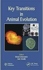 Key transitions in animal evolution