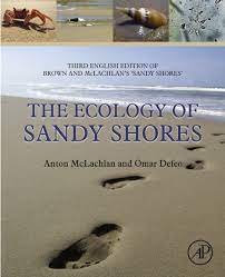The ecology of sandy shores