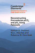 Reconstructing Precambrian PCO2 and PO2 using paleosols