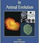 Key transitions in animal evolution