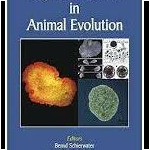 Key transitions in animal evolution
