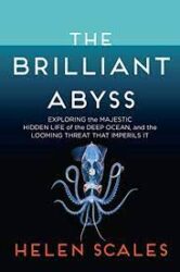The brilliant abyss : exploring the majestic hidden life of the deep ocean and the looming threat that imperils it