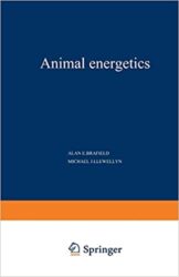Animal energetics