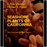 Seashore Plants of California
