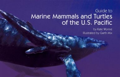 Guide to marine mammals and turtles of the U.S. Pacific