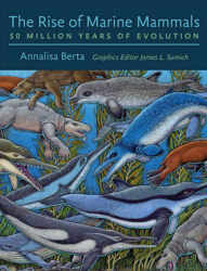 The rise of marine mammals: 50 million years of evolution