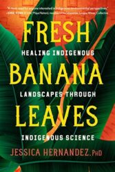 Fresh banana leaves: healing indigenous landscapes through indigenous science
