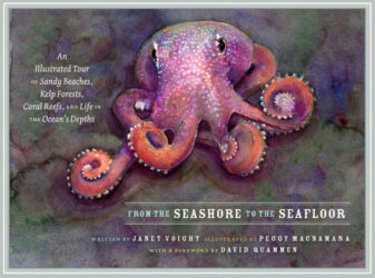 From the seashore to the seafloor: an illustrated tour of sandy beaches, kelp forests, coral reefs, and life in the ocean's depths