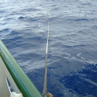 MOBY deployment Photo 8