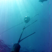 Full MOBY underwater with one diver