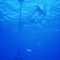 Full MOBY underwater