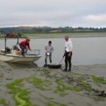 The WEMAP 2002 Intertidal Wetlands project required innovative ways to reach a site. Most sites involved using a boat to get to the shallowest point and then walking to the exposed intertidal site dragging the equipment. In some cases, we walked in mud up to our thighs or we had to skid along the surface on boogie boards. The WEMAP 2002 Intertidal Wetlands project required innovative ways to reach a site. Most sites involved using a boat to get to the shallowest point and then walking to the exposed intertidal site dragging the equipment. In some cases, we walked in mud up to our thighs or we had to skid along the surface on boogie boards.