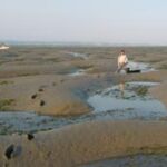This WEMAP 2002 Intertidal Wetlands site in Humboldt Bay required a far walk in the mud to the site. The erosion patterns in the sediment created large craters. This WEMAP 2002 Intertidal Wetlands site in Humboldt Bay required a far walk in the mud to the site. The erosion patterns in the sediment created large craters.