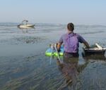 The tide fills in fast in Humboldt Bay and Marco had to walk in the water back to the boat. We had to deal with many sites in this manner. The tide fills in fast in Humboldt Bay and Marco had to walk in the water back to the boat. We had to deal with many sites in this manner.