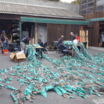 Students building artificial giant kelp