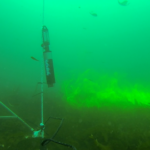 Dye release experiment with ADV (Acoustic Doppler Velocimeter) and SCUFA array Dye release experiment with ADV (Acoustic Doppler Velocimeter) and SCUFA arrary