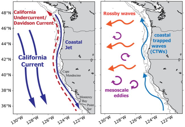 ccs-schematic-coast