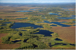 Alaska (USFWS)