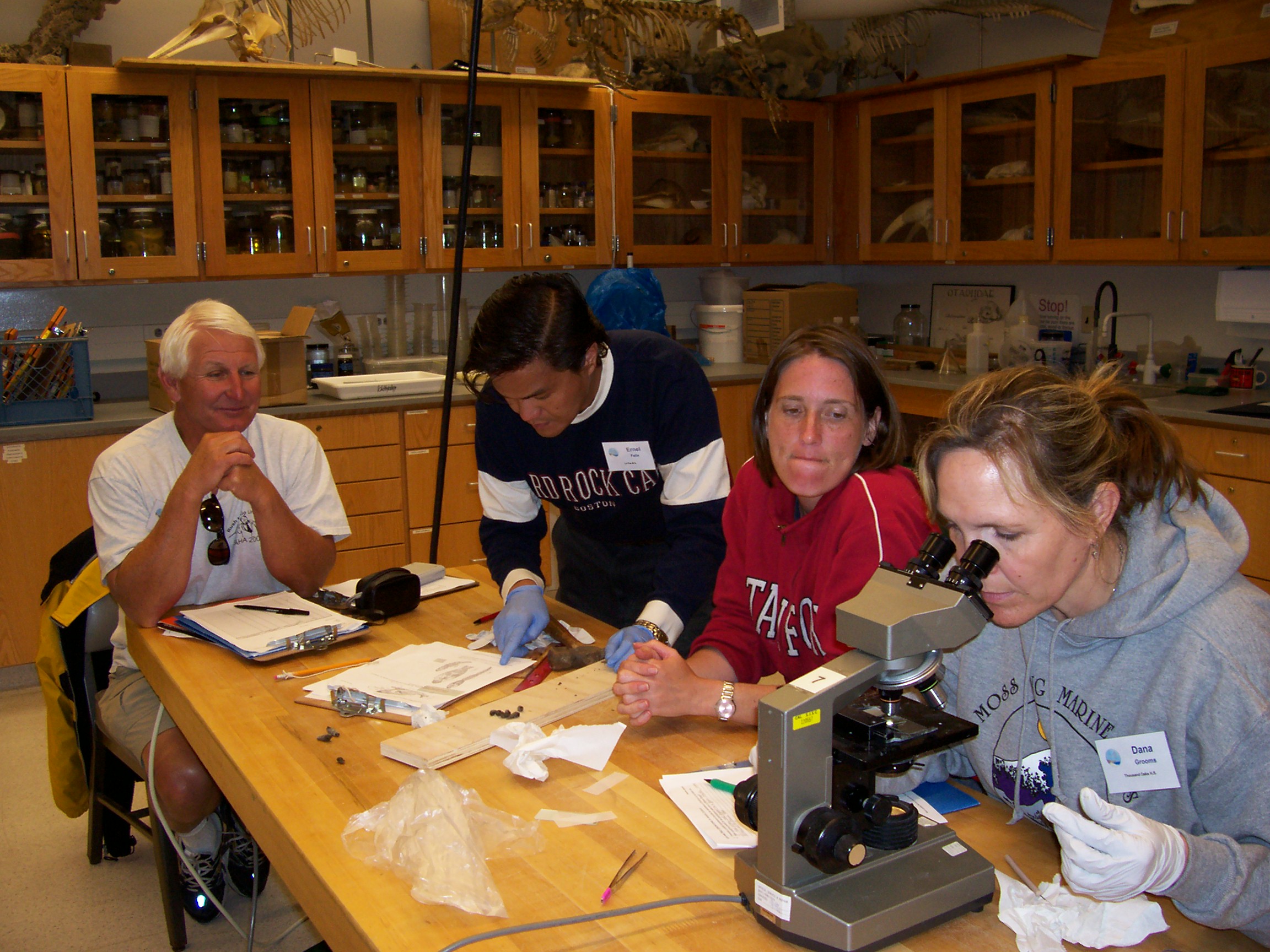 Teachers inspect invasive snails for parasites