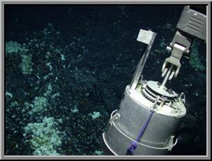 Arm of ROV Jason, setting a “mussel pot” to collect vent specimens (Photo taken by ROV Jason II, Dr. Charles Fisher, Chief Scientist)