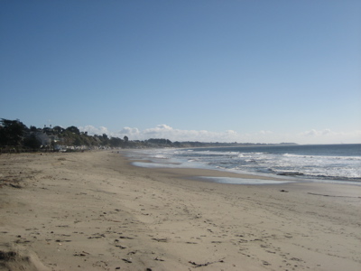 Give your local beach some love on Sept. 20th, Coastal Cleanup Day!
