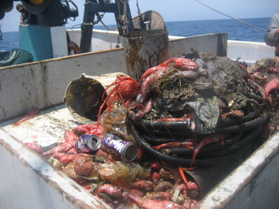 Deep sea trash from near San Diego. Just part of the bigger mess.