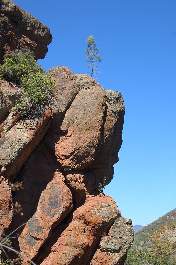 Remnants of an ancient volcano at Pinnacles National Monument (Photo by Iryna Novosyolova; NPS)