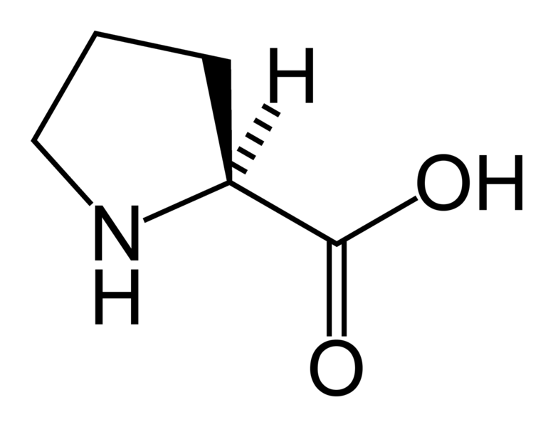 proline