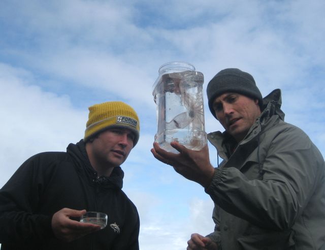 What a find!  Bottling up a squid (photo: E. Loury)