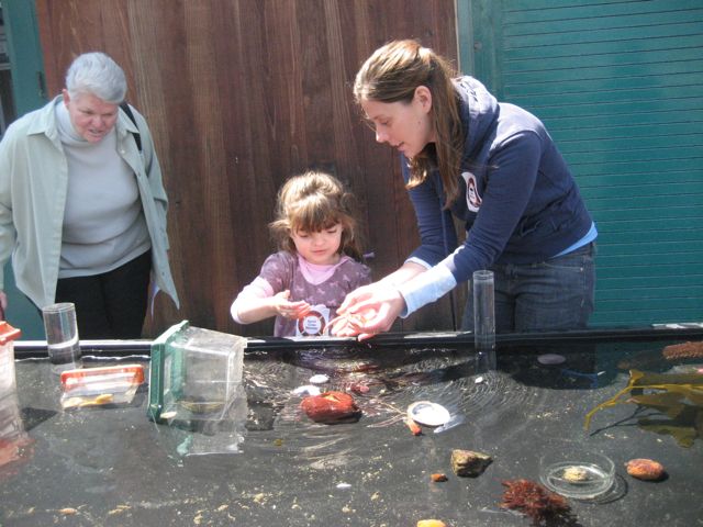 The touch tank is fun for all ages!