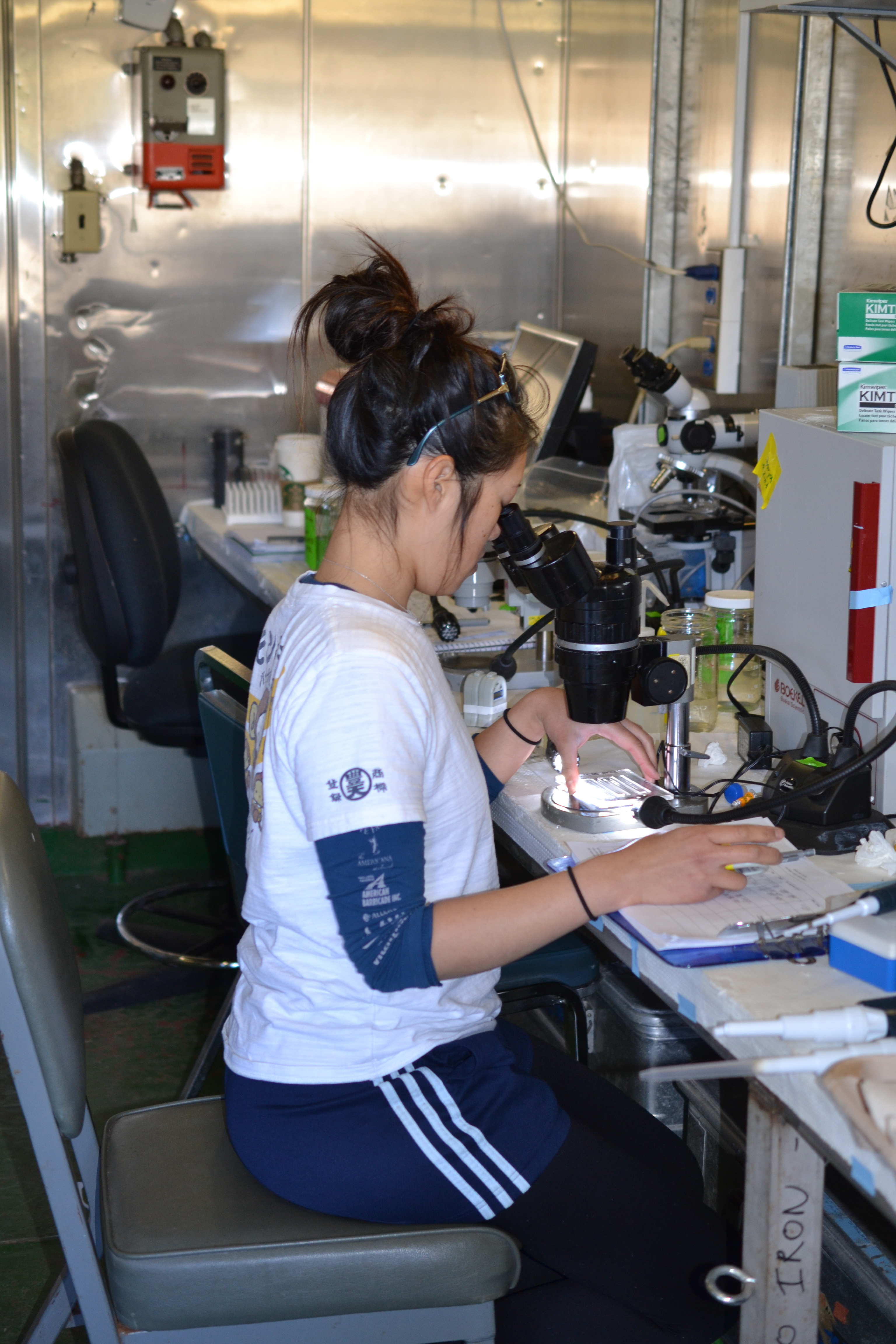Julie Kuo, a graduate student in the Biological Oceanography lab at MLML, counts the number of zooplankton in a sample of pre-treated ballast water.
