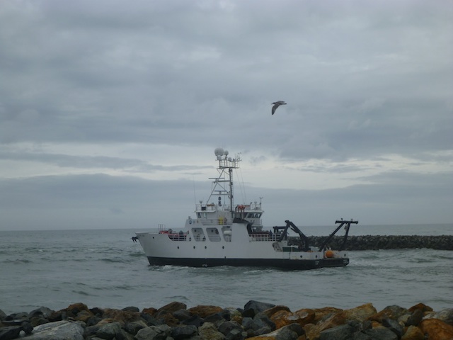 The R/V Point Sur leaving Moss Landing Harbor (Photo: Andrea Launer)