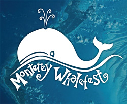 aa whalefest-logo (5) color